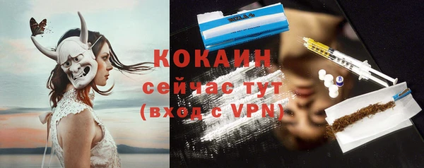 твердый Балахна