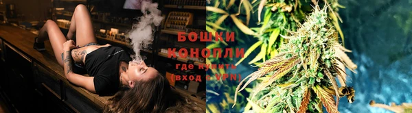 каннабис Баксан